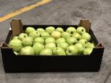 Яблоко Poland / Голден, Ред Принц, Гала - photo 5
