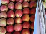 Яблоко свежее в ассортименте - photo 3