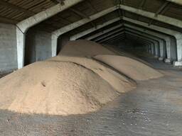 Ячмень в мешках и россыпью.