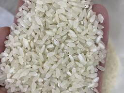 Янтар күрішінің көтерме саудасы, егін 2024 жыл.