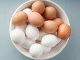 Яйца куриные - photo 1