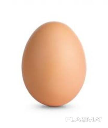 Яйца куриные категории С оптом