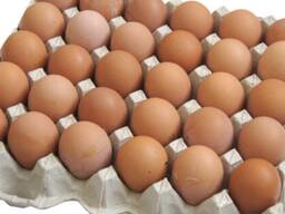 Яйца куриные оптом