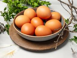 Яйцо С1 оптом