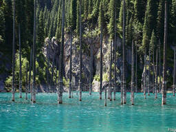 Заказать транспорт, микроавтобус на озеро Каинды в Алматы