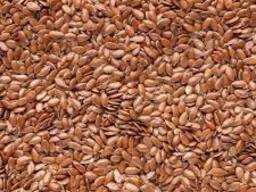 Реализуем ячмень, лен, подсолнух, сафлор, пшеницу на Китай