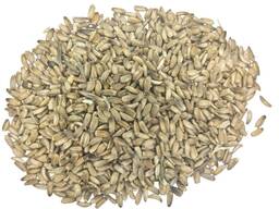 Закупаем расторопшу