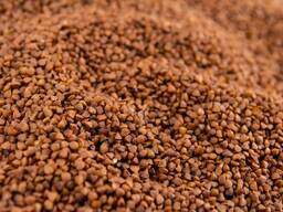 Закупаю гречиху