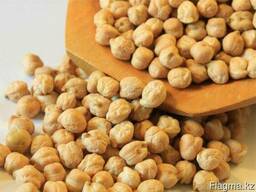 Закупка зерна Павлодар