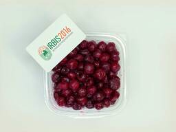 Замороженная вишня без косточек оптом