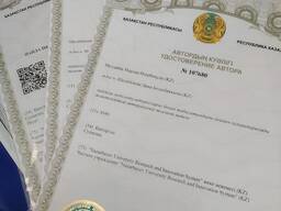 Защита интеллектуальной собственности