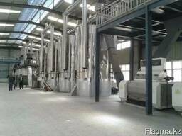 Завод по переработки масличных культур под ключ.
