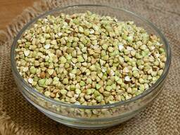 Зеленая гречка