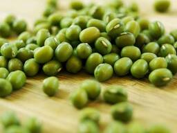 Зеленый маш