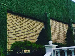 Зелёный Забор