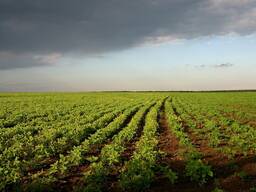 Земли Сельхозназначения в Аккольском районе