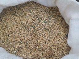 Зерноотходы