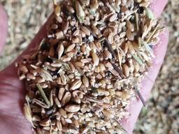 Сөмкелердегі астық қоспасы