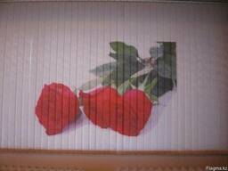 Жалюзи с рисунком