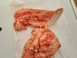 Жир говяжий