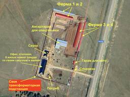 Животноводческая база, крестьянское хозяйство