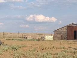 Животноводческая база с земельным участком