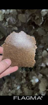 Жмых льняной / масло техническое нефильтрованное