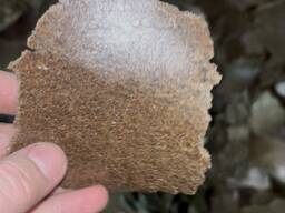 Жмых льняной / масло техническое нефильтрованное