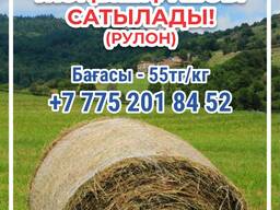 Жоңышқа шөбі сатылады!