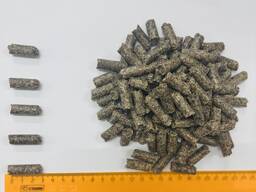 Жом свекловичный