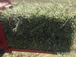 Жонышка, люцерна , сено