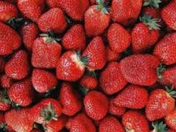 "Золотая осень" Клубника термостабильные начинка 240°C