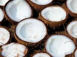 "Золотая осень" Кокос термостабильные начинка 240°C