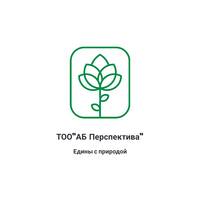 Фоменко Вероника