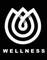 WELLNESS, ИП