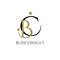 BUHCONSULT, ИП